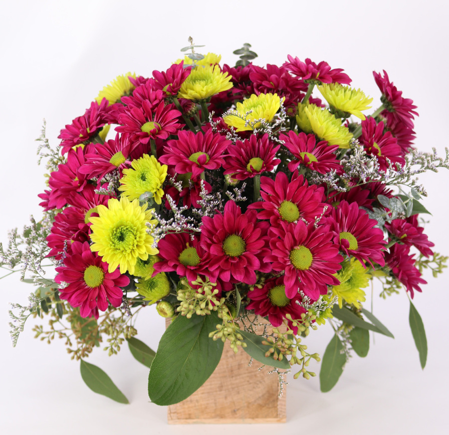 Busy Bee Florist and Gifts Home